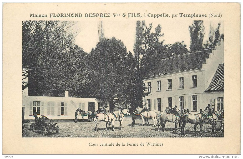 CAPPELLE Par TEMPLEUVE - Maison Florimond Desprez Vve & Fils; Cour Centrale De La Ferme De Wattines. - Cappelle La Grande
