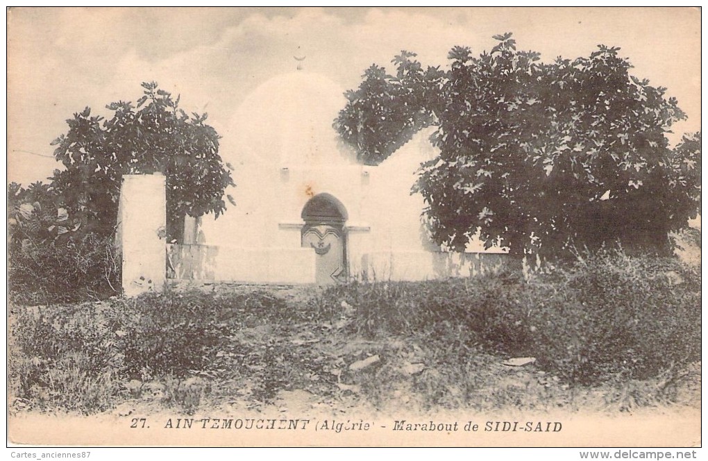 CPA  Algérie Ain Temouchent Marabout De Sidi-Said   ER 808 - Autres & Non Classés