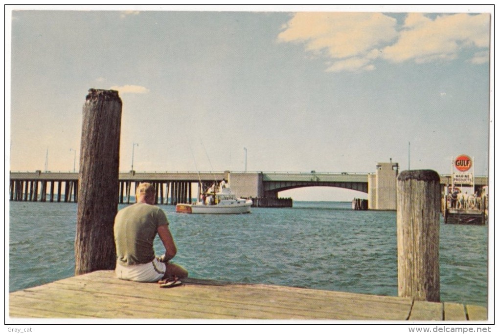 Sinepuxent Bay Bridge At Ocean City, Maryland, Unused Postcard [17428] - Ocean City