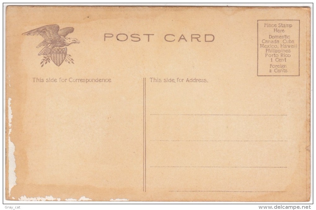 The Capitol, Harrisburg, PA, Early 1900s Unused Postcard [17438] - Harrisburg