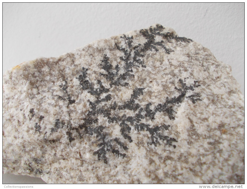 - Dendrites De Manganèse Sur Un Granit  - - Fossilien