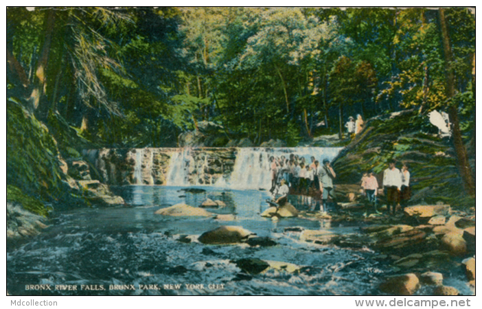 US NEW YORK CITY / Bronx River Falls, Bronx Park / CARTE COULEUR - Bronx