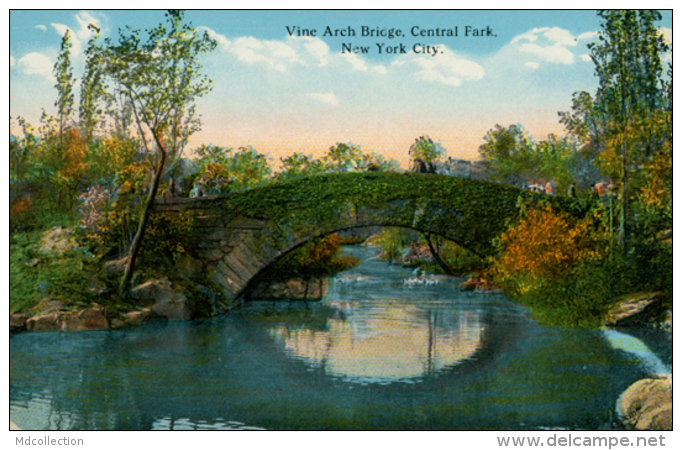 US NEW YORK CITY / Vine Arch Bridge Central Park / CARTE COULEUR  GLACEE - Other Monuments & Buildings