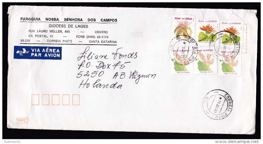 Brazil: Airmail Cover To Netherlands, 1993, 6 Stamps, Inflation: 56,000.00 Cr$, Air Label, Flowers (minor Damage) - Briefe U. Dokumente