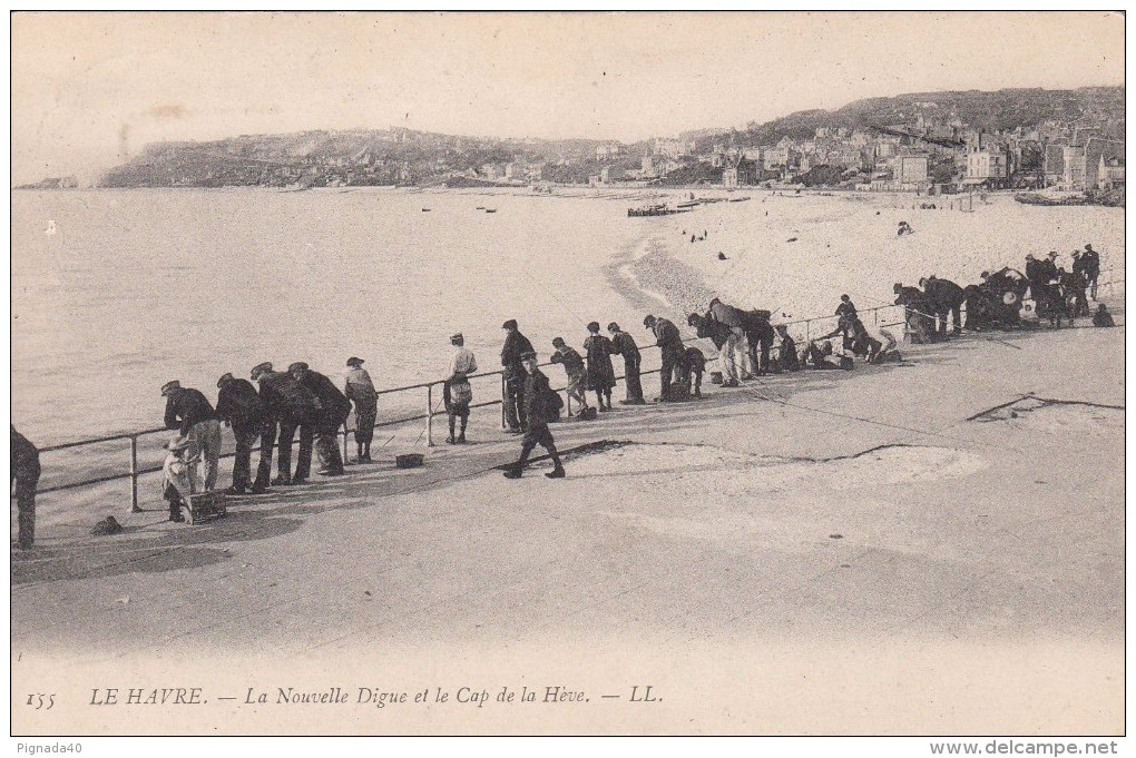 Cp , 76 , LE HAVRE , La Nouvelle Digue Et Le Cap De La Hève - Cap De La Hève