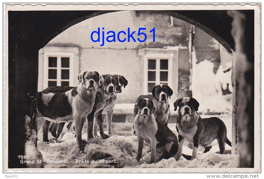 Grand St-Bernard - Prêt Au Départ / Hôtel De L'Hospice - Lonfat Et Gentinetta / 6 Beaux Chiens - Cani