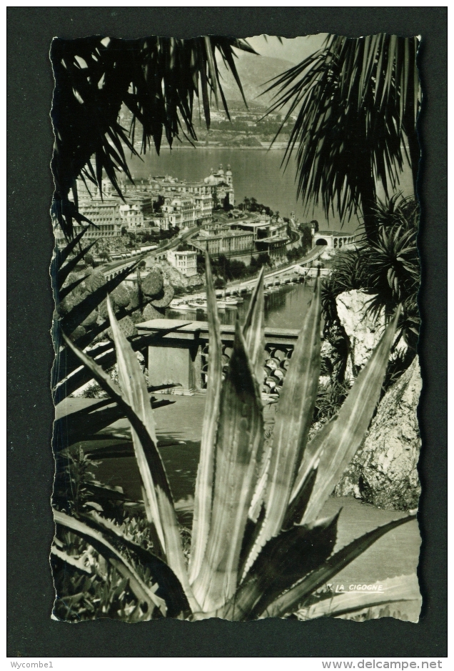 MONACO  -  Exotic Garden View Towards Casino  Used Postcard As Scans - Jardín Exótico