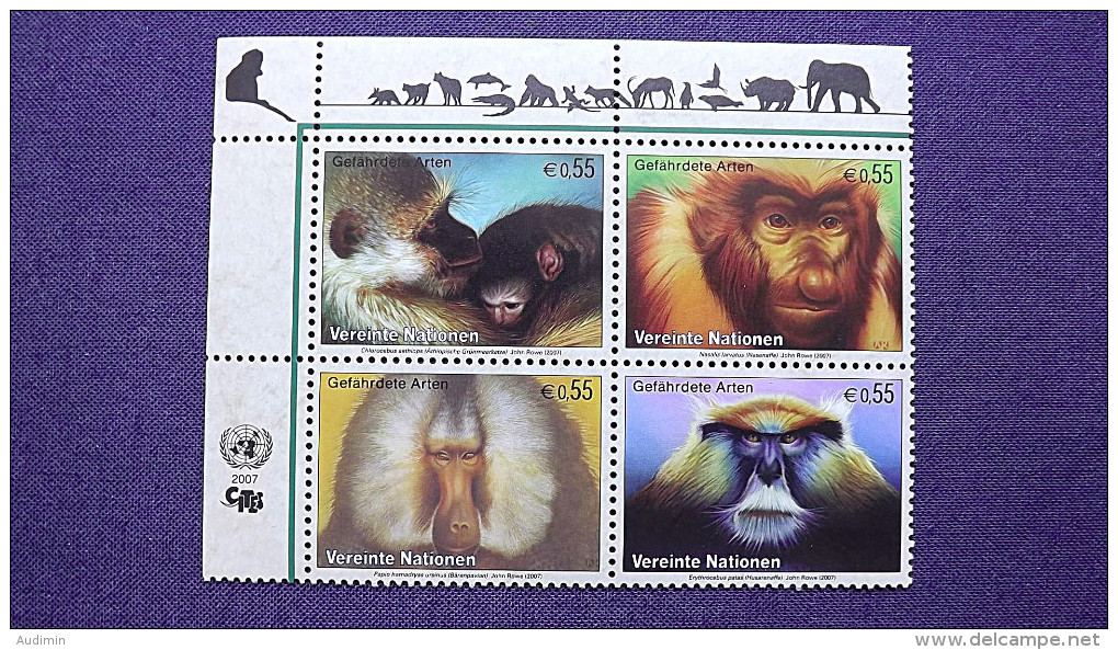UNO-Wien 485/8 **/mnh, Gefährdete Arten: Äthiopische Grünmeerkatze, Nasenaffe, Mantelpavian, Husarenaffe - Unused Stamps