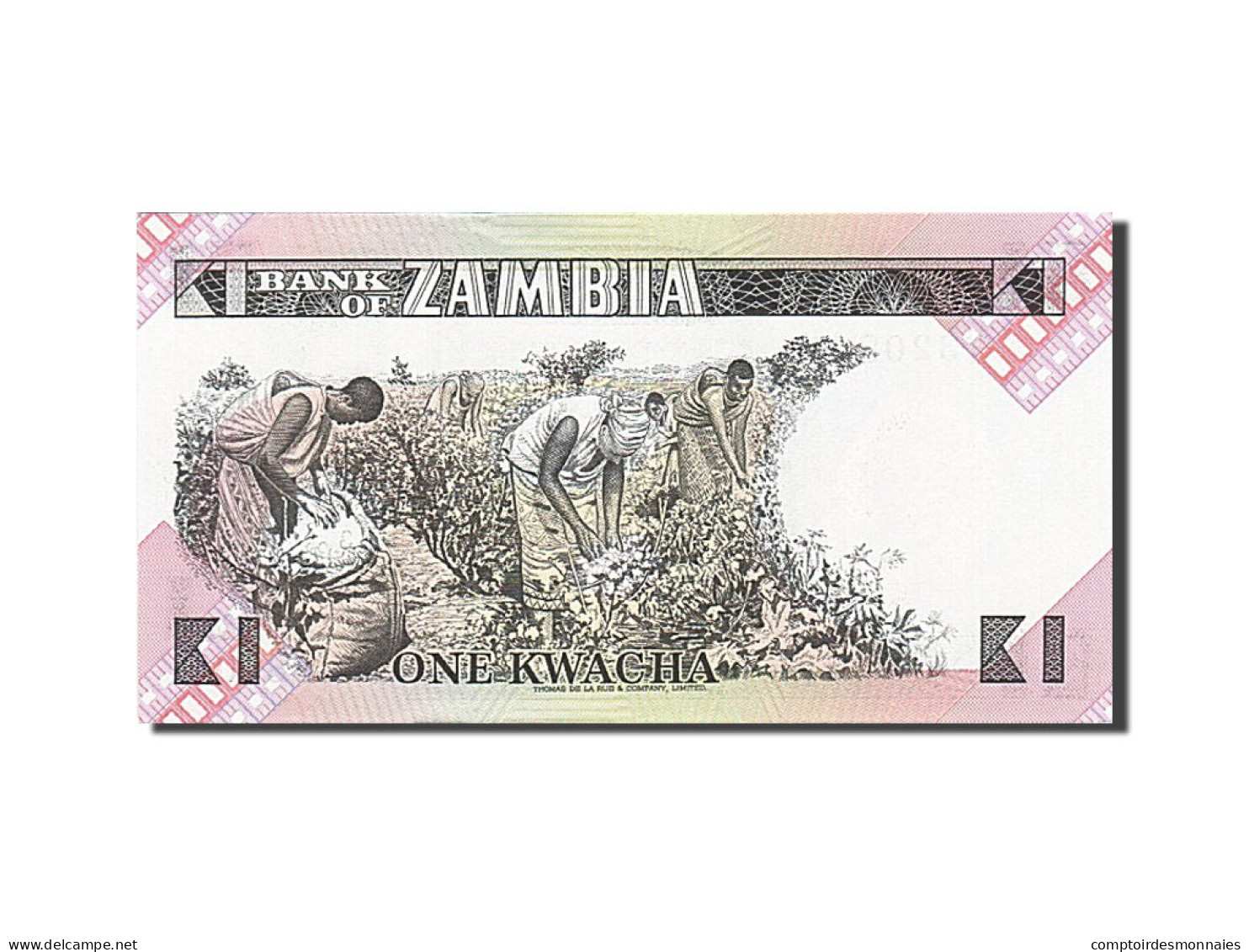 Billet, Zambie, 1 Kwacha, 1980-1986, Undated (1980-1988), KM:23b, NEUF - Zambie