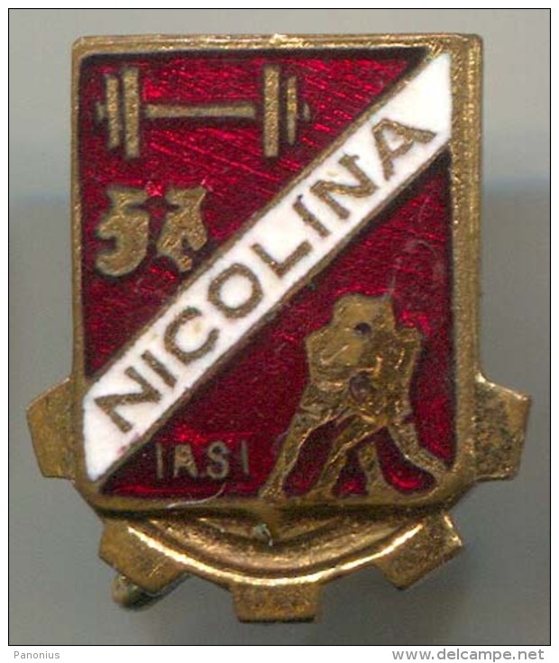 BOXING BOX RING - NICOLINA IASI, Romania, Sport Boxing Wrestling Weightlifting, Enamel, Vintage Pin, Badge - Boksen