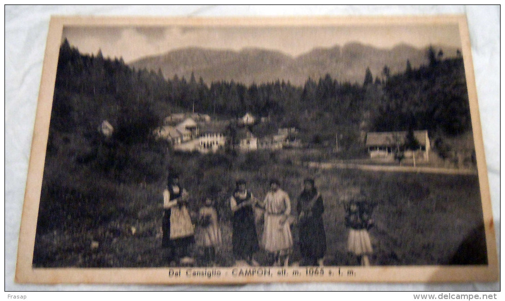 Veneto Treviso Dintorni Di Vittorio Veneto .CAMPON M 1065 ANIMATA FIORI DONNE  Foresta Del Cansiglio  NN E MOSSA - Treviso