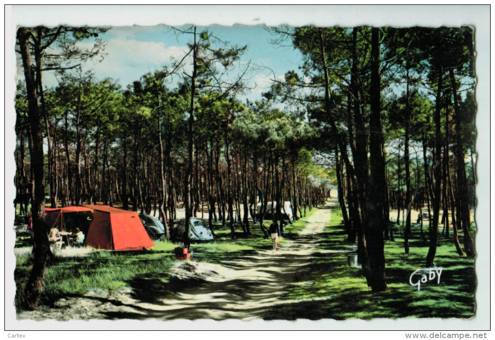 11144   CPA   Env De SAINT NICOLAS DE BREM  : BRETIGNOLLES SUR MER , Le Camping Et La Route Des Tulipes  1963 - Bretignolles Sur Mer