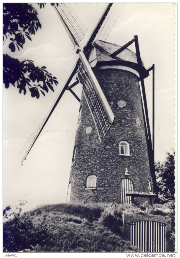 Oelegem Stenen Molen - Ranst