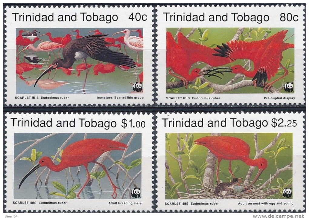 Trinidad En Tobago  Birds - Sonstige & Ohne Zuordnung