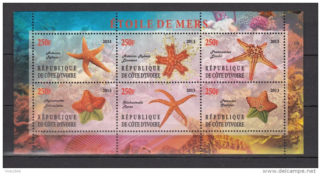 Ivory Coast 2013,6V In Sheetlet,,starfish,zeesterren,seestern,étoile De Mer,estrella De Mar,MNH/Postfris(L2367) - Vie Marine