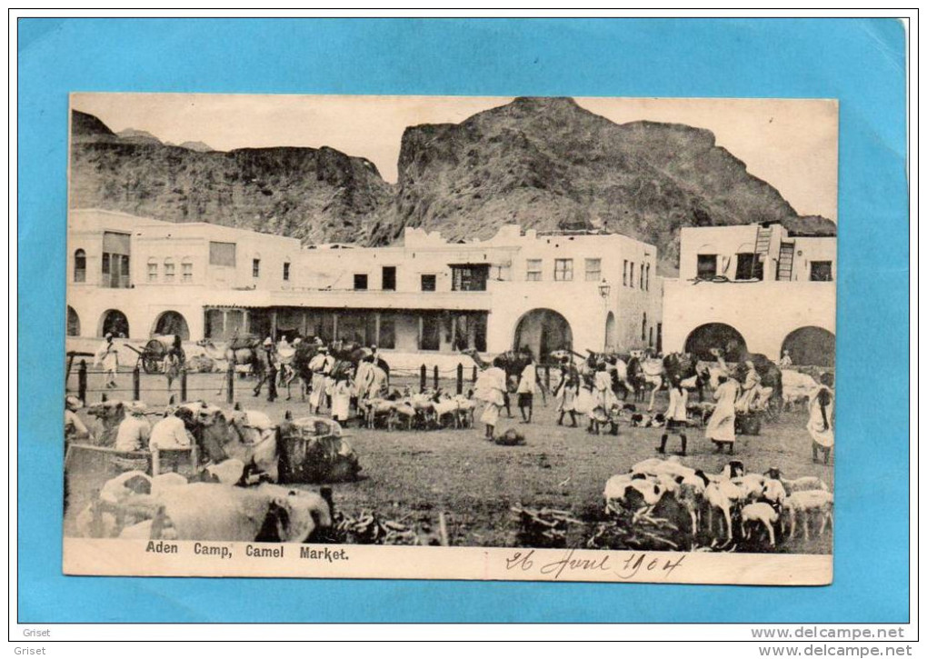 ADEN-camp Camel Market-le Marché Aux Chameaux -place Animée -années 1904 - Yémen