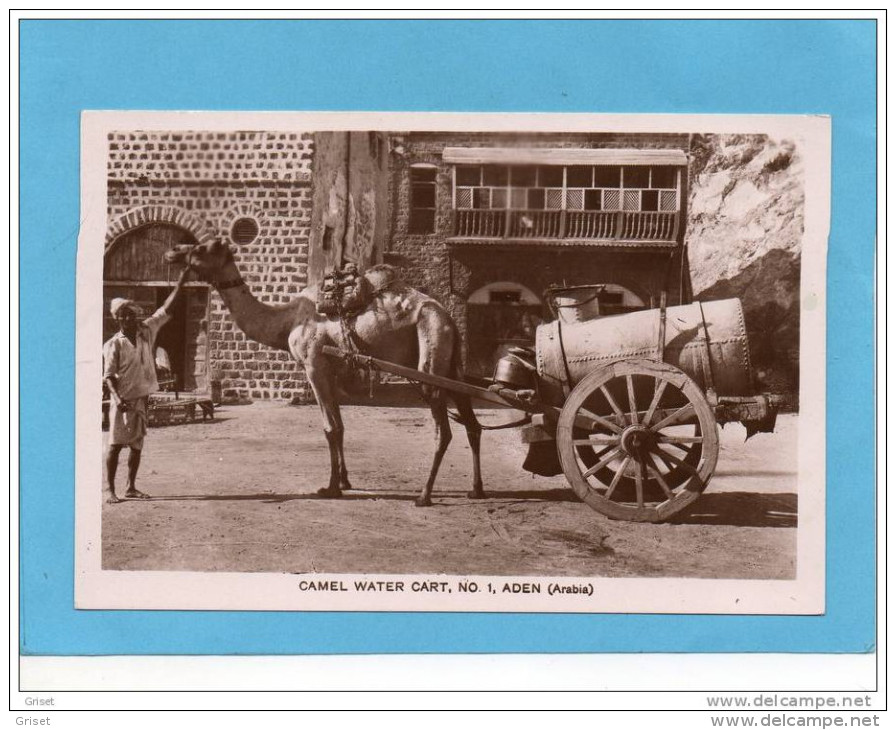 ADEN-camel Water Cart N°1-gros Plan Charette  Citerne D'eautirée Par Chameau - Animée -années 1910+édit Howard - Yémen