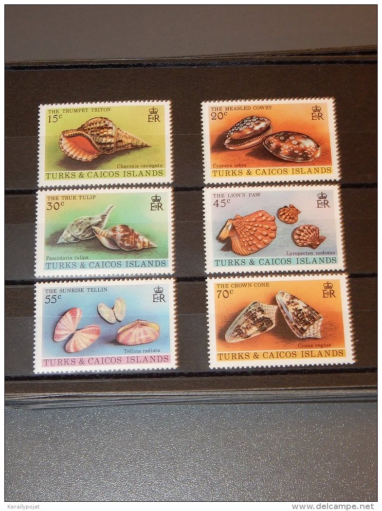 Turks And Caicos - 1980 Shells MNH__(TH-15363) - Turks And Caicos
