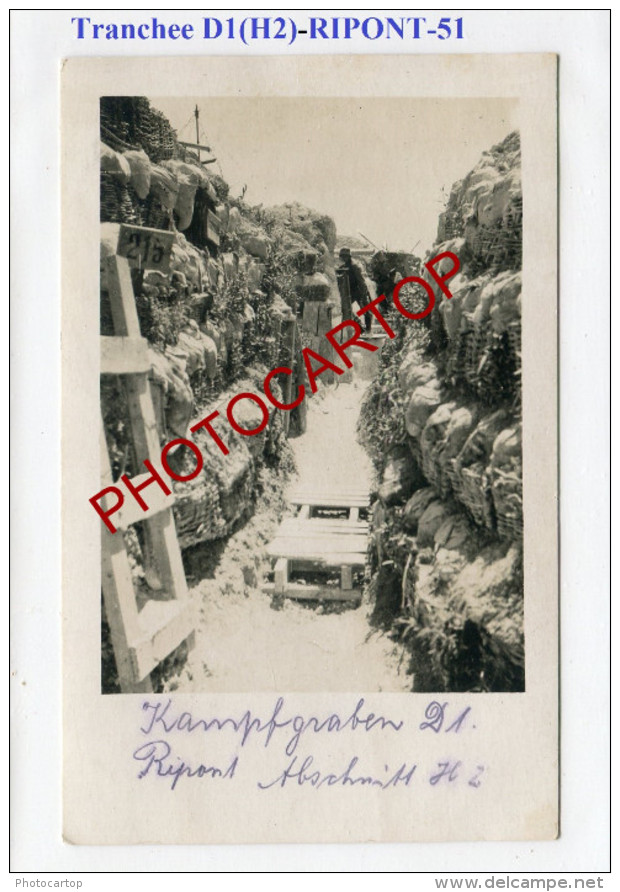 RIPONT-TRANCHEE D1(H2)-Positions-Stellung-Camp-Lager-Carte Photo Allemande-Guerre14-18-1WK-France-51-Militaria- - Ville-sur-Tourbe