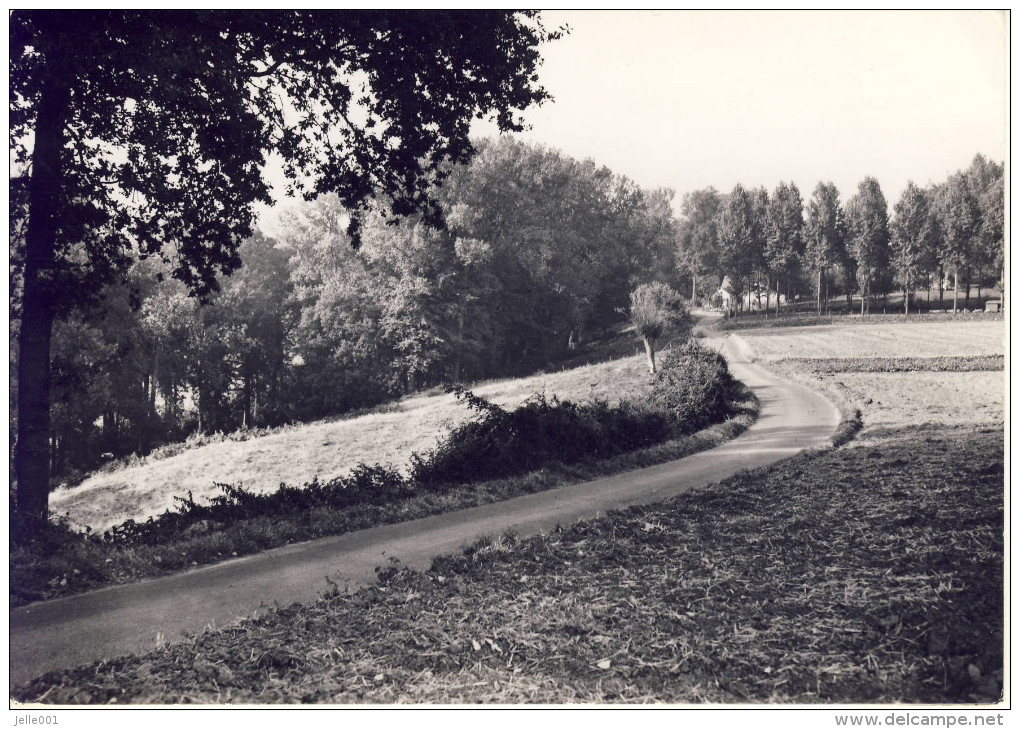 Vollezele Heystraat Galmaarden - Galmaarden