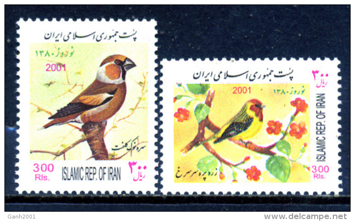 Iran / Birds MNH Aves Vögel Oiseaux / Ff35 - Otros & Sin Clasificación