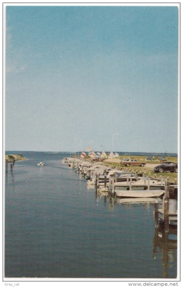 Greetings From Ocean City, Maryland, Marina On Sinepuxent Bay, Unused Postcard [17535] - Ocean City