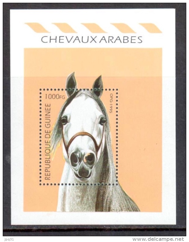 Guinée BF 112B ** - Chevaux Arabes - Guinée (1958-...)