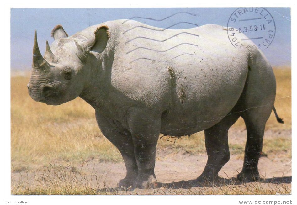 TANZANIA - BLACK RHINO NGORONGORO CRATER / THEMATIC STAMPS-FLOWERS - Tanzania