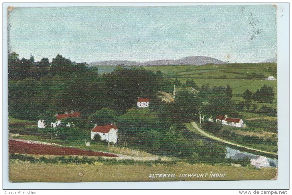 Alteryn. Newport (Mon) - Hartmann - Monmouthshire