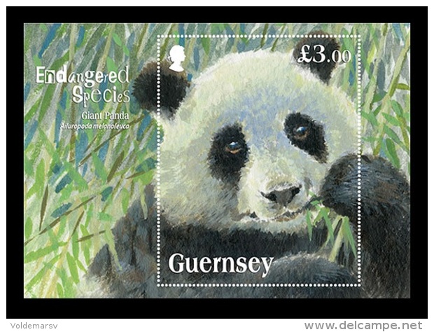 Guernsey 2013 Mih. 1408 (Bl.62) Fauna. Giant Panda MNH ** - Guernesey