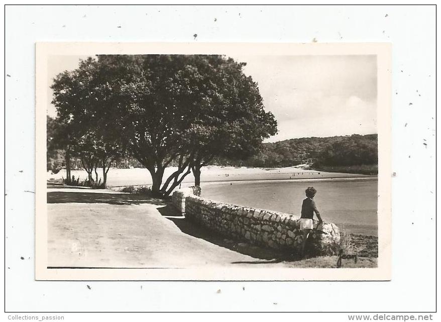 Photographie , 9 X 6 , Plage De MAUZAN , St Palais Sur Mer , Vue De La Corniche , 1950 - Places