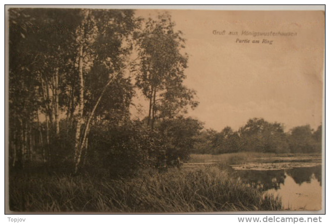 GERMANY - KONIGSWUSTERHAUSEN - WERNSDORF  -  1901 - DAR - Königs-Wusterhausen