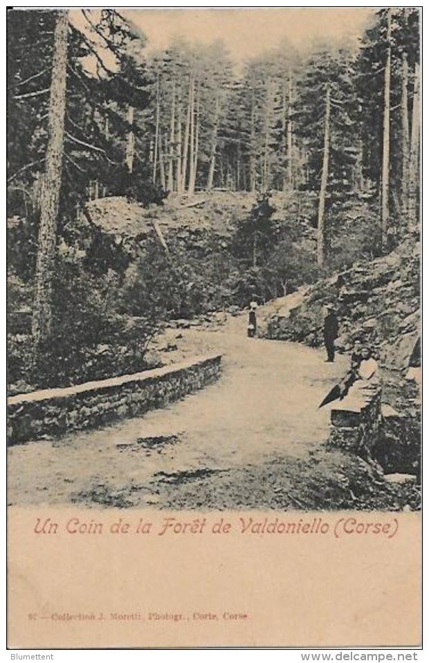 CPA Carte Ancienne 9 X 14 Corse Corsica Non Circulé Valdoniello - Autres & Non Classés