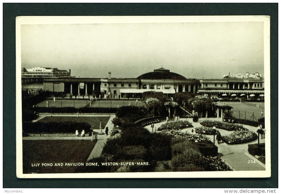 ENGLAND  -  Weston Super Mare  Lily Pond And Pavilion Dome  Unused Vintage Postcard - Weston-Super-Mare
