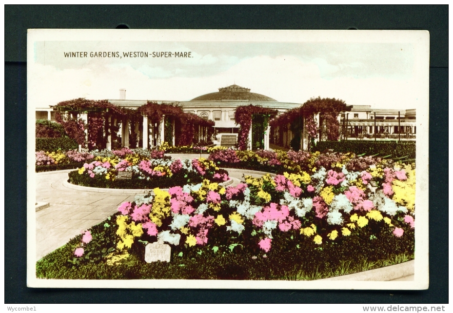 ENGLAND  -  Weston Super Mare  Winter Gardens  Unused Vintage Postcard - Weston-Super-Mare