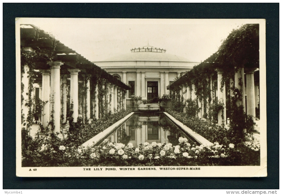 ENGLAND  -  Weston Super Mare  Winter Gardens  The Lily Pond  Used Vintage Postcard As Scans - Weston-Super-Mare