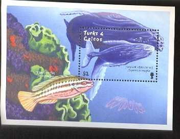 TURKS & CAICOS   1337  MINT NEVER HINGED SOUVENIR SHEET OF FISH-MARINE LIFE ;  WHALES ; FISH - Poissons