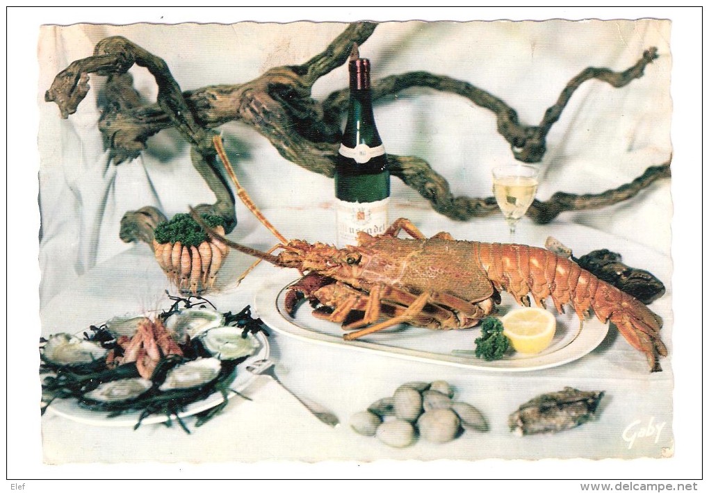 Gastronomie Française ; FRUITS DE MER ; Coquillage HUITRES , Palourdes, Homard , Vin Muscadet + Flamme PTT CNE 1964, TB - Recipes (cooking)