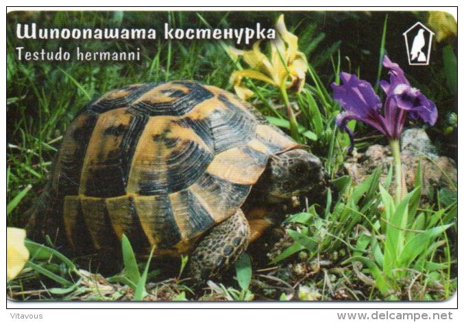 Tortue Tortoise Turtle Télécarte Phonecard  Bulgarie R699 - Tortues