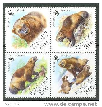 2004 Block Of 4v Russia Russland Russie Rusia Rusland Fauna Animals WWF Wolverine Mi 1198-1201 MNH - Unused Stamps