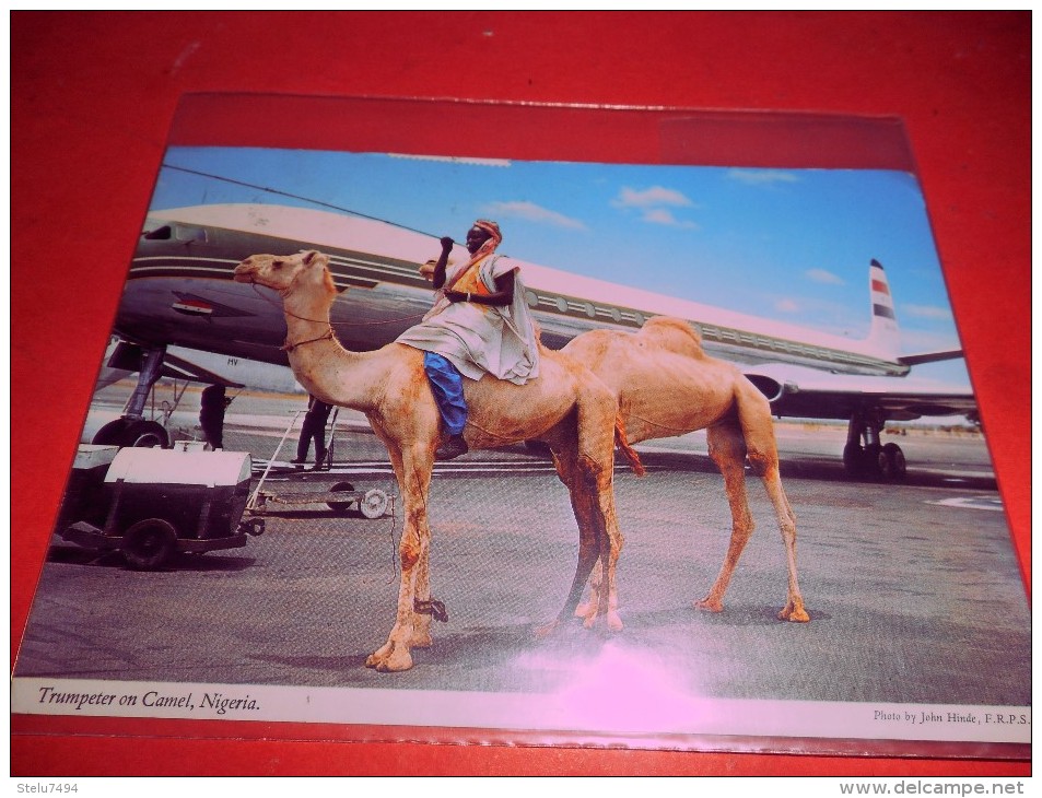 B655 Nigeria Trumpeter On Camel Viaggiata Pieghina Angolo - Nigeria