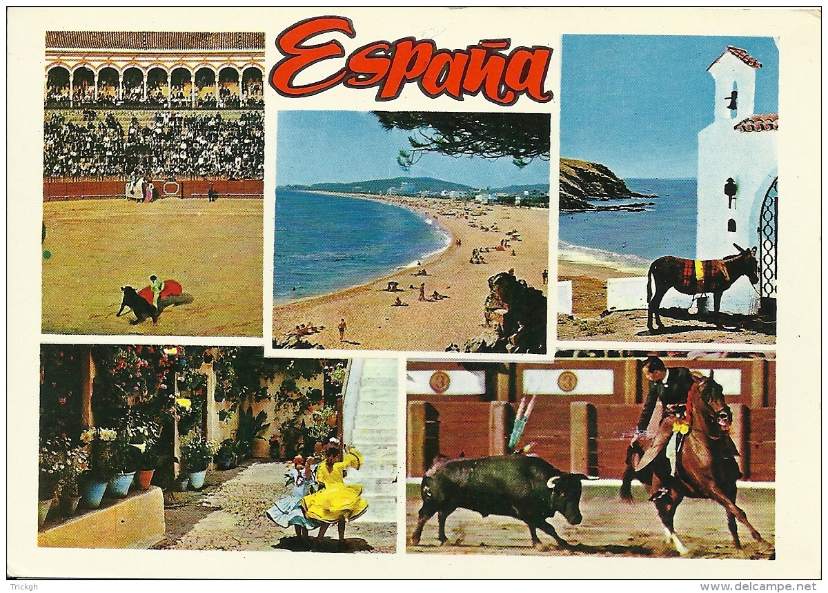 Espana / Ane Ezel Donkey Cheval Paard Horse - Corrida
