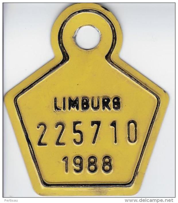 Fiets Limburg 1988 - Plaques D'immatriculation