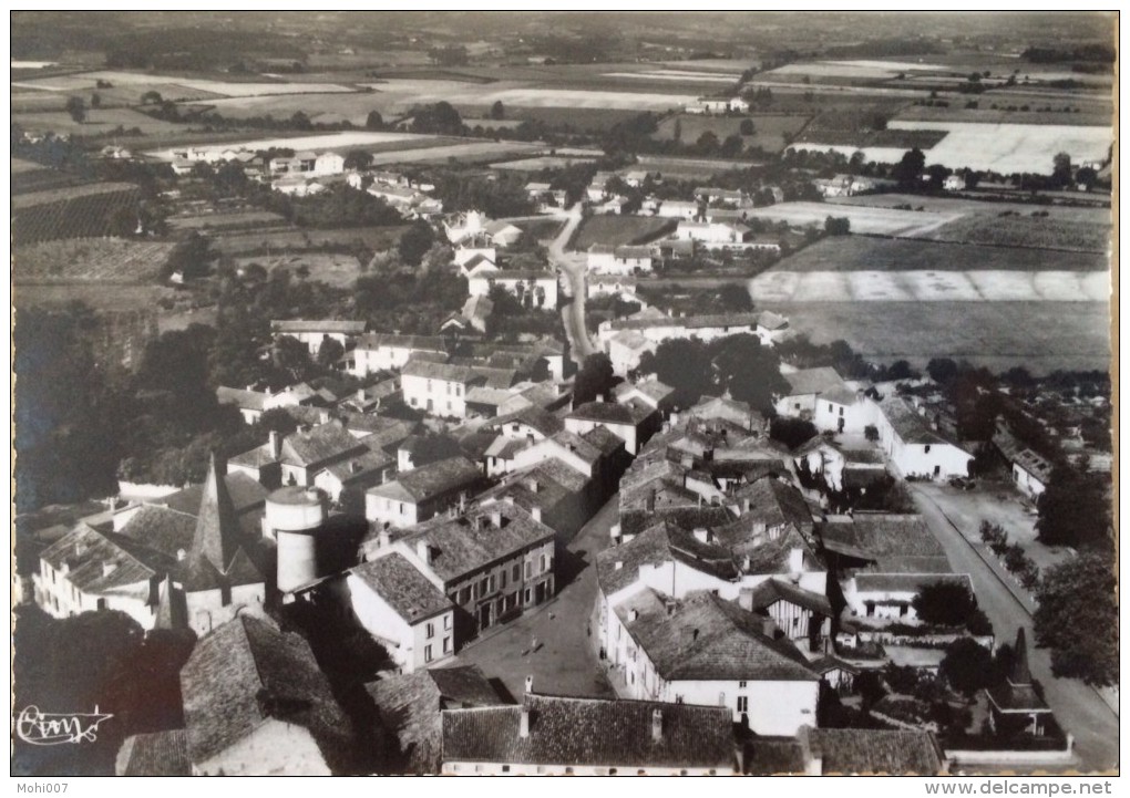 CASTELNAU RIVIERE BASSE - (65 - HAUTES PYRENNES), CPSM PEU COURANTE, ECRITE, VOYAGEE & TIMBREE DE 1961 - Castelnau Riviere Basse