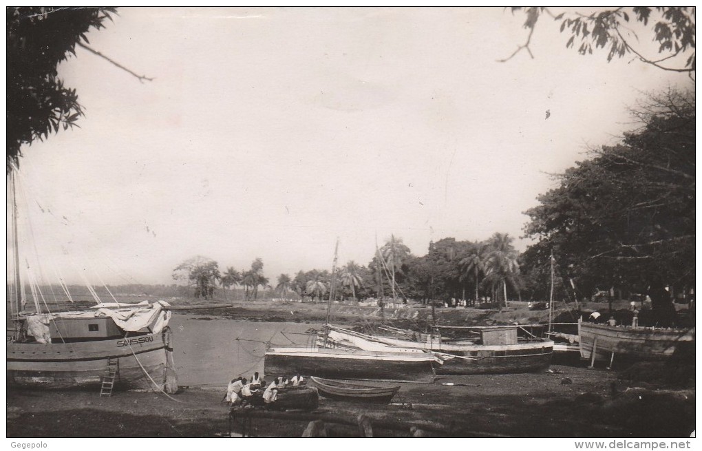 CONAKRY - Côtres Et Barques De Pêche - Guinée