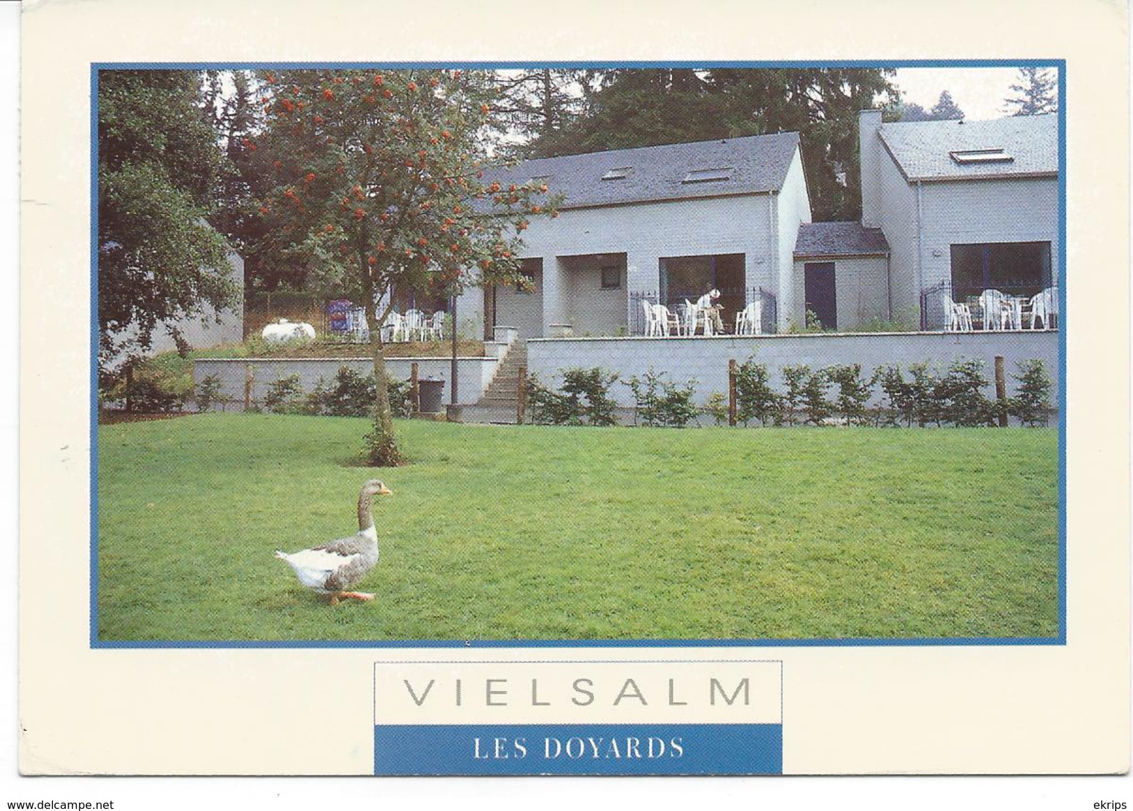 Vielsalm Les Doyards - Somme-Leuze