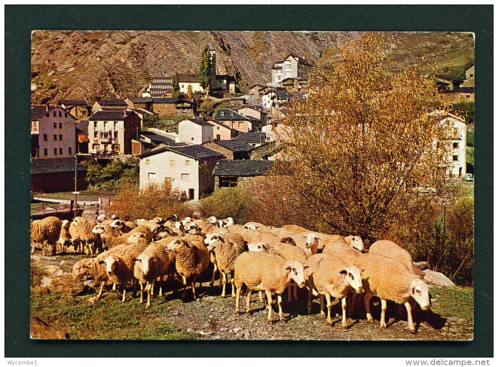 ANDORRA  -  Canillo  Used Postcard As Scans - Andorra