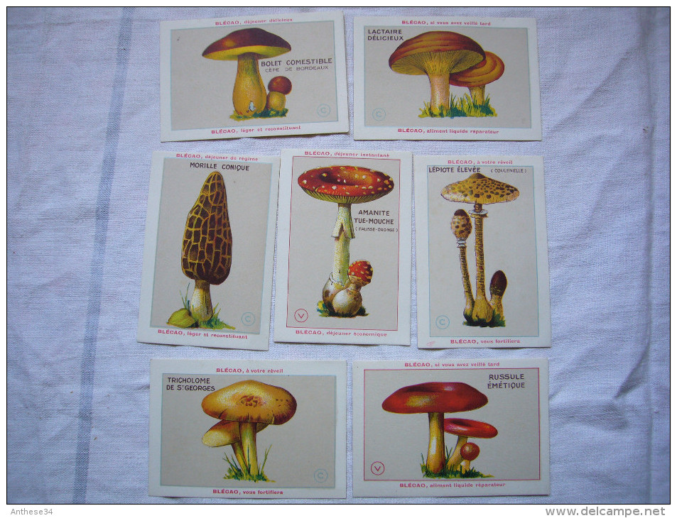 Lot De 7 Chromos Blécao Thème Champignons Pub Blécao - Autres & Non Classés