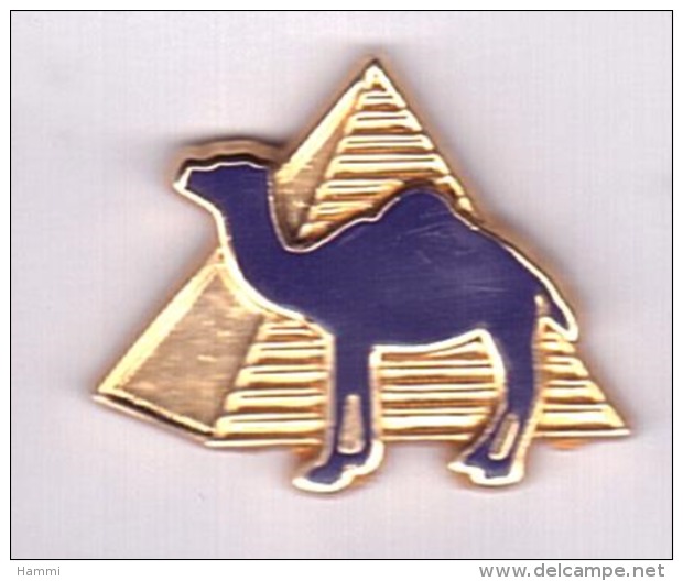 AN284 Pin's TABAC CAMEL Chameau Superbe Qualité Arthus Pyramide Egypte Achat Immédiat Immédiat - Animaux