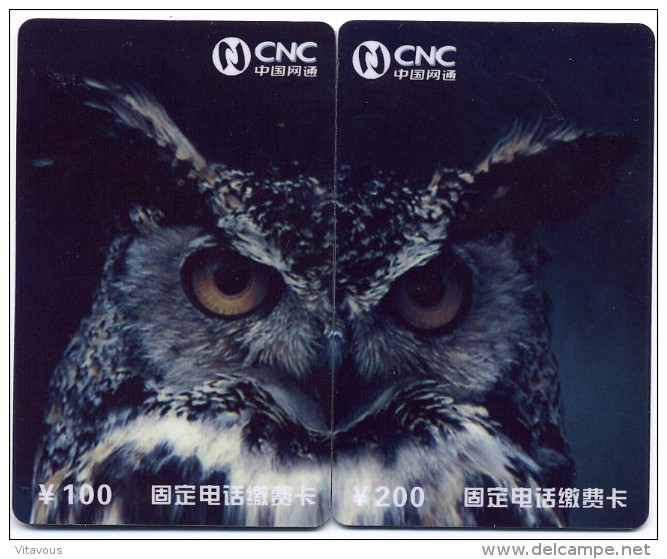 Chouette Hibou Owl Puzzle 2 Télécartes Chine Phonecard  Telefonkarte B5.172 - Chine
